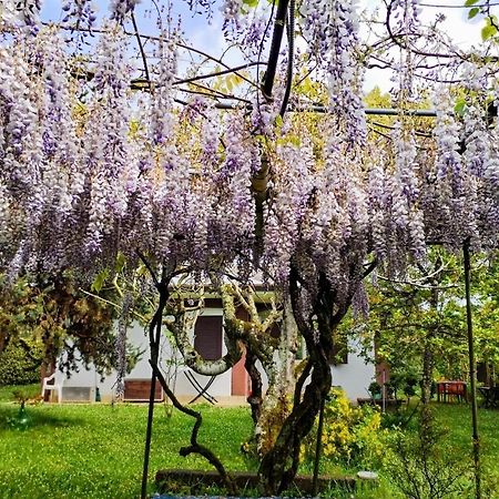 Casetta In Collina Sezze Exteriér fotografie