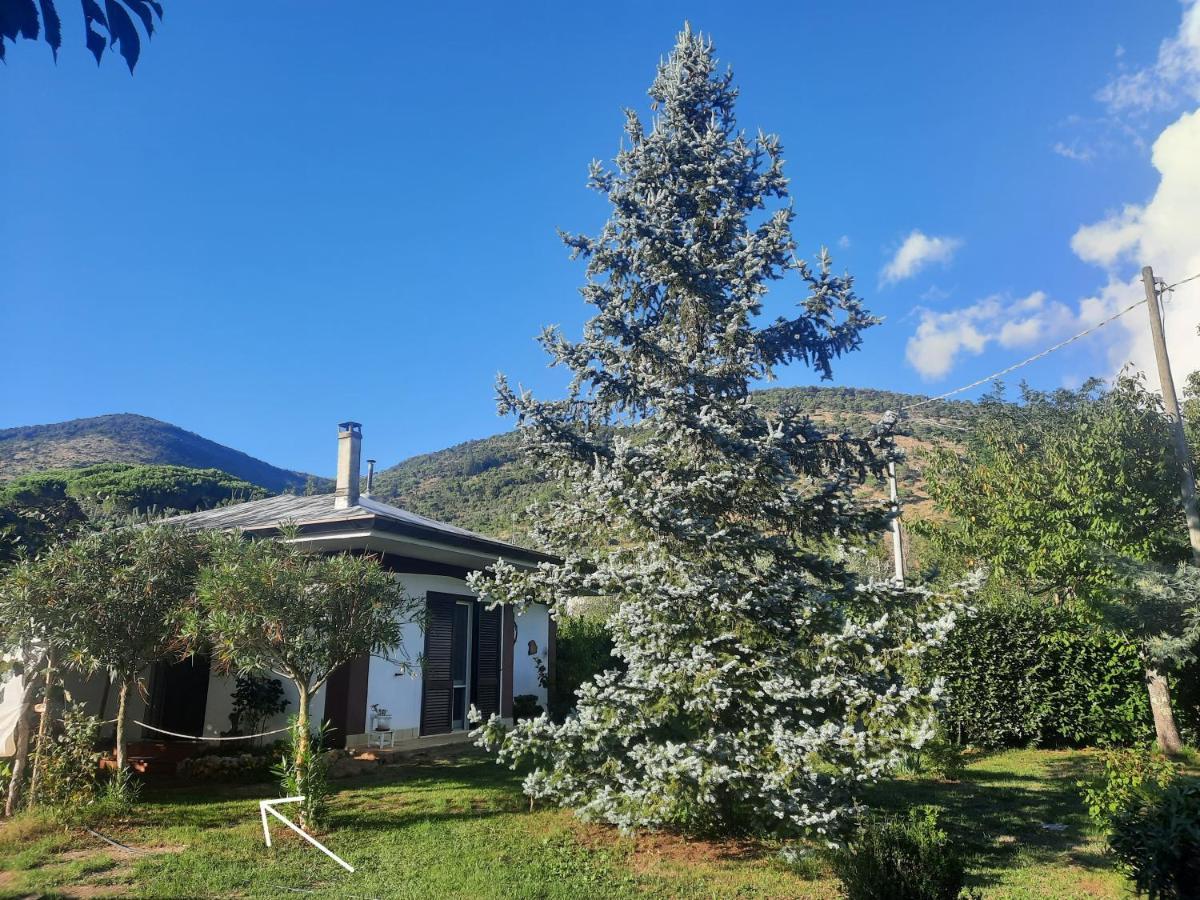 Casetta In Collina Sezze Exteriér fotografie